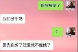 泰安融资清欠服务