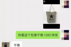 泰安企业清欠服务